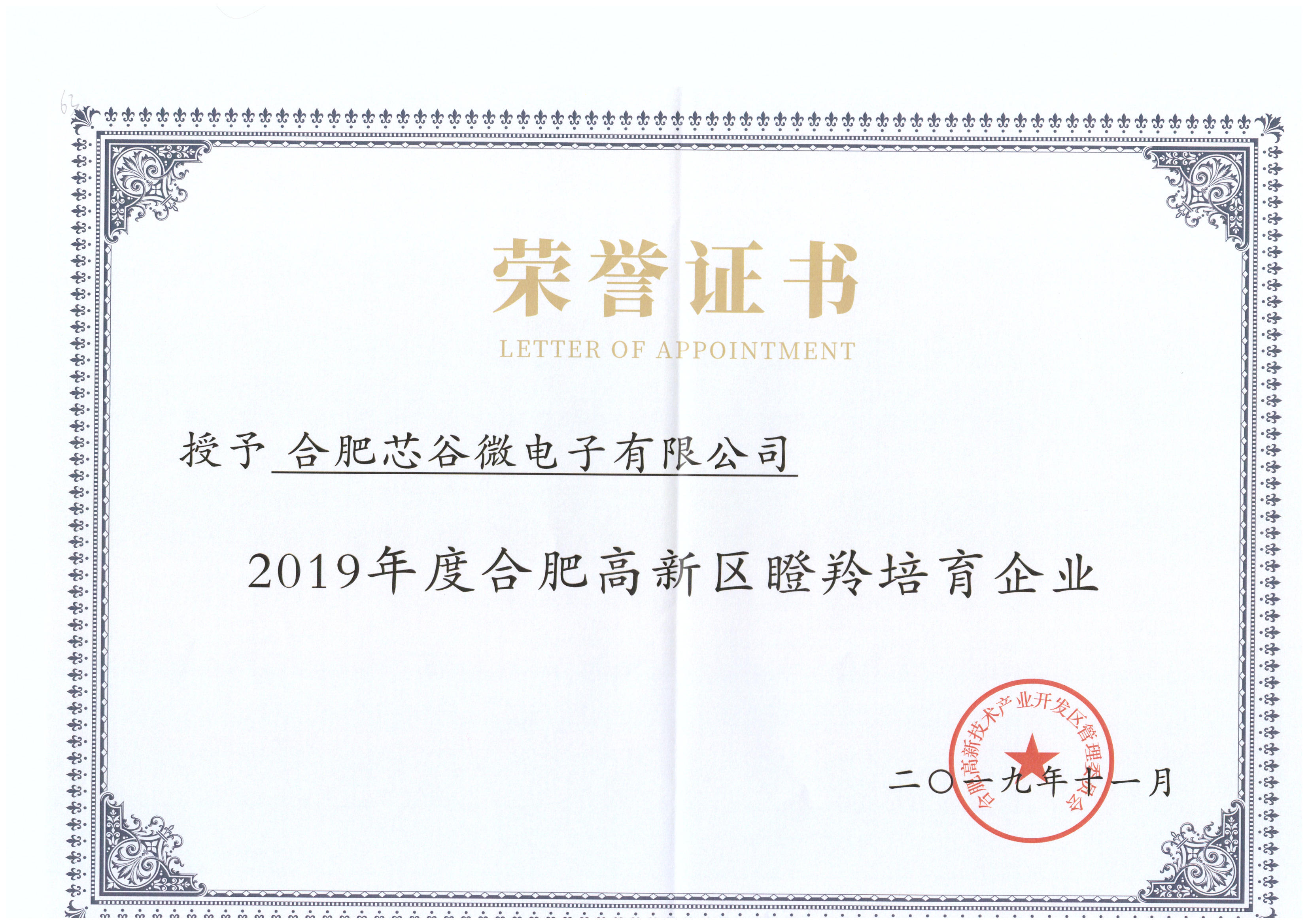 2019年度合肥高新区瞪羚培育企业荣誉证书